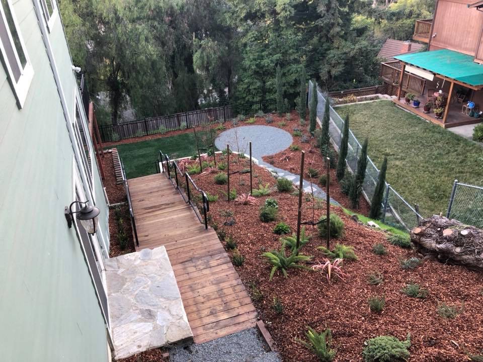 Los Altos Estate Landscaping